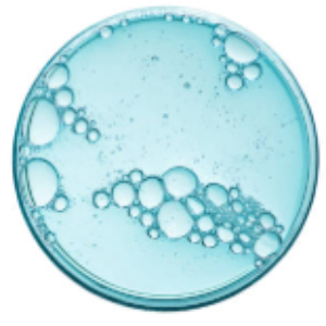 Salicylic Acid