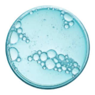 Salicylic Acid